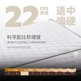 KING KOIL 金可儿 世茂·喜来登 海绵弹簧床垫