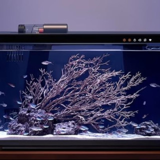小米 米家智能鱼缸客厅小型家用桌面过滤一体机水族箱WiFi