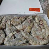 厄瓜多尔气冻大虾净重3斤（20-30）