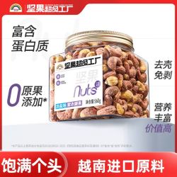 天虹牌 560g紫衣腰果淡盐味带皮越南果仁罐装健康零食小吃炒货