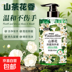 山茶花抑菌洗手液儿童通用 一瓶430毫升装