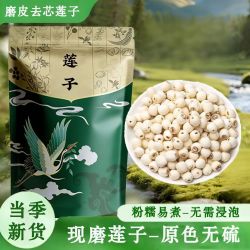 洪湖莲子去芯磨皮干货 100g