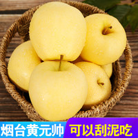苹之都 正宗烟台苹果黄元帅苹果新鲜水果粉面甜黄金帅整箱黄香蕉生鲜果 6枚中果净重约2斤