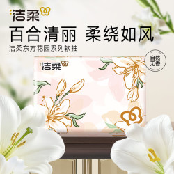 洁柔 抽纸繁花系列柔韧软抽可湿水面巾纸卫生纸餐巾纸擦手纸整箱家用 3层 100抽*40包