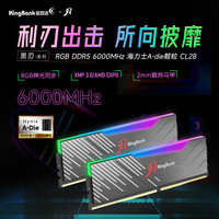 金百达 黑刃 DDR5 6000MHz C28 16GBx2 RGB灯条