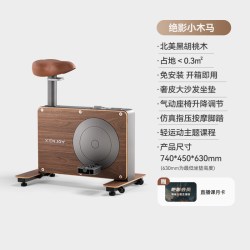 绝影 小木马动感单车家用款小型室内静音运动房器材减肥