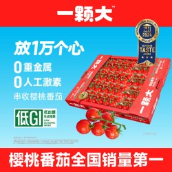 一颗大 玲珑串樱桃番茄新鲜自然熟小西红柿水果番茄1kg/盒