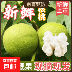 京喜加 2026年河北新鲜现摘带青皮湿核桃薄皮嫩核桃生核桃批发 带箱1斤（不送夹子） 2026新货-送小刀