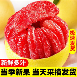 集年鲜 新鲜水果红心柚子送礼 净重4.5斤铂金果