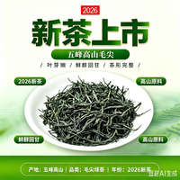 简小禾 五峰采花毛尖 特级新茶嫩芽尖 500g
