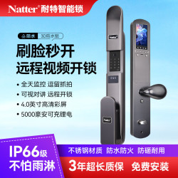 耐特锁业 智能门锁刷脸防水锁户外门锁智能入户门锁电子锁别墅门锁防雨淋 咖啡黑 A锁体30X240