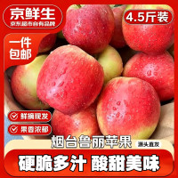 京鲜生 山东鲁丽苹果4.5斤单果160克新鲜水果 源头直发包邮