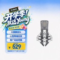 iSK BM-800专业大振膜48V电容麦 手机电脑声卡直播连麦唱歌喊麦录音配音话筒 可选带声卡耳机全套套装
