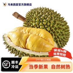 恰好庄园 D197猫山王榴莲