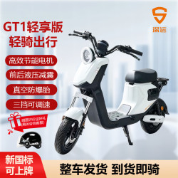 SYUAN GT1新新国标深远GT1-1.0轻享版电动车外卖车家用续航通勤代步 48V+12A的铅酸电池