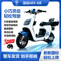 SYUAN 新国标电动车G05超长续航电瓶车家用代步外卖骑手无需驾驶证可上牌 48V12A铅酸电池（可上牌）
