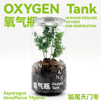 自然引力-氧气瓶 植物盆栽桌面绿植净化空气迷你盆栽礼物 狐尾天门冬
