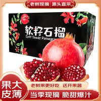 好媛好宇 突尼斯软籽石榴水果 新鲜水果礼盒 净重4.5斤精选果 单果6两-8两装