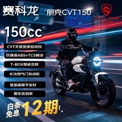 宗申 朋克CVT150 复古巡航 民谣白 燃油摩托车