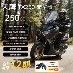 天鹰 TX250F 燃油踏板摩托车 哑黑