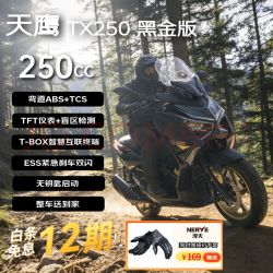 天鹰 TX250F 黑金版 燃油踏板摩托车