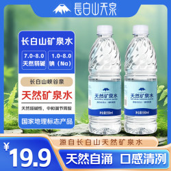 长白山天泉 偏硅酸型矿泉水 天然弱碱性小瓶饮用水 550ml*12瓶