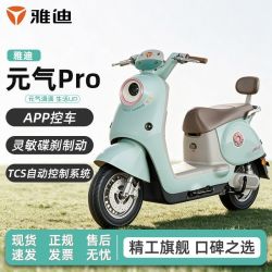 雅迪 元气Pro代步通勤电动轻便摩托车长续航60V21A