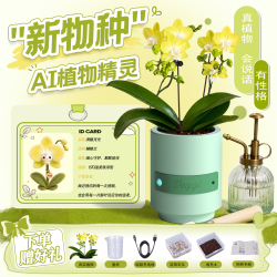 未叽Veggi真实植物桌面植宠植Ai智能花盆植物机器人情绪桌搭蝴蝶兰