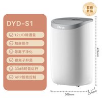 Deye DY-612S 除湿机 12L/D 白色