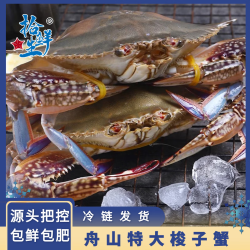 拾鲜生 梭子蟹活冻舟山特大5斤梭子蟹5-7两/只 当季新蟹 源头直发包邮