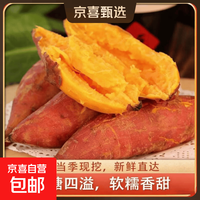 京喜 现挖沙地蜜薯红薯新鲜农家糖心番薯烤地瓜软糯批发黄心包邮 沙地蜜薯9斤装中大果 含箱