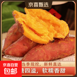 京喜 现挖沙地蜜薯红薯新鲜农家糖心番薯烤地瓜软糯批发黄心包邮 沙地蜜薯9斤装中大果 含箱