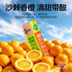多维爽 天然VC 沙棘果汁饮料