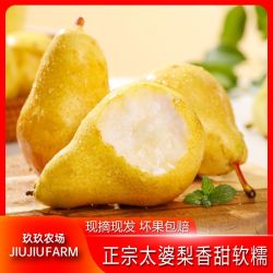 玖玖农场 正宗烟台太婆梨软糯香甜应季新鲜水果大头梨香蕉梨