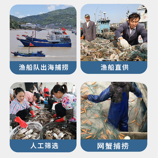 拾鲜生 舟山梭子蟹 活冻特大5-7两/只 5斤装