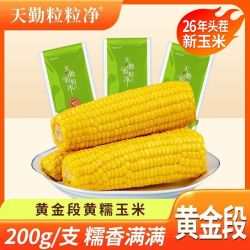 天勤粒粒净 有机黄糯玉米 真空包装 根茎类农产品