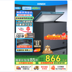 星星 零下30℃ 冰柜  300L