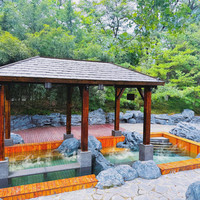 移动端:和园景逸大酒店朗月汤泉-周末/节假日票