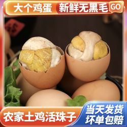 毛啵啵 十三天活珠子五香味香辣味钢化蛋新鲜营养即食