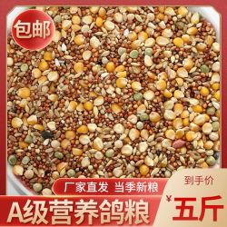 精品包邮有鸟粮无玉米鸟食饲料粮食鸽子保健砂营养鸽粮专用产品