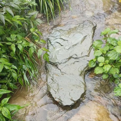 鱼缸造景石 原生溪流石 龟趴石 片石 圆石绿植盆景石直播一物一拍