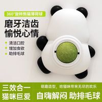 网红熊猫薄荷球玩具洁齿解闷磨牙猫咪玩具猫咪磨牙棒逗猫宠物用品