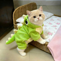 阿莫尔 猫咪秋冬季加绒加厚可爱恐龙变身装博美柯基小型幼犬狗狗宠物衣服
