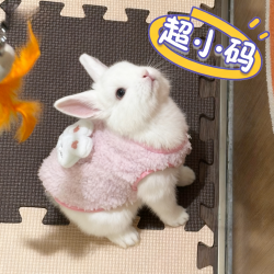 阿莫尔 小兔子保暖衣服秋冬天防寒加绒加厚侏儒垂耳兔小猫咪幼犬小型宠物