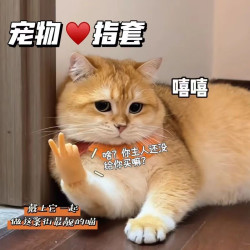 可爱撸猫手套猫咪比耶小手套网红款猫咪拍照实用软硅胶猫咪手指套
