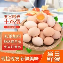 我老家 新鲜农家散养土鸡蛋正宗生鲜鸡蛋新鲜土鸡蛋鸡20枚包邮