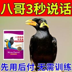 八哥鸟食鸟饲料鹩哥鸟粮八哥专用食粮鸟料八哥鸟饲料