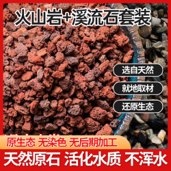 （生态缸养龟开缸套餐）溪流石底砂片岩火山石花园