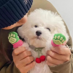 阿莫尔 狗狗袜子防抓防脏防滑脚套泰迪比熊约克夏猫咪鞋子宠物袜子狗鞋子
