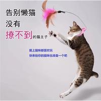 脖套猫玩具项圈逗猫棒 猫咪自嗨解闷后空翻训练 带羽毛铃铛
